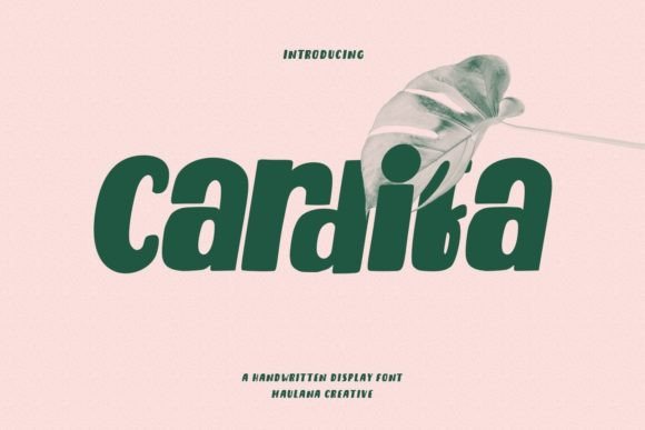 Cardifa: A Friendly Display Font That Makes Your Brand Shine