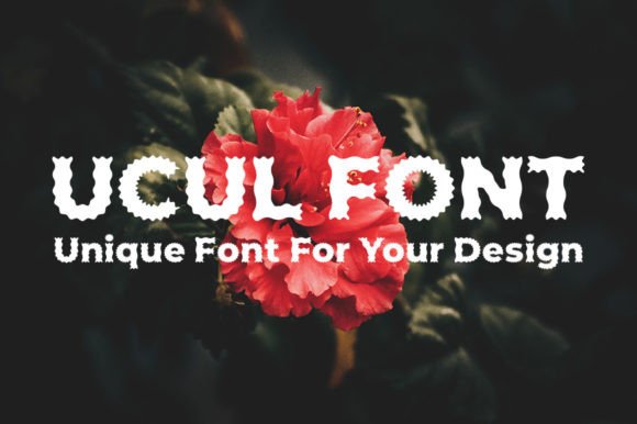 Ucul: A Display Font That Makes Your Brand Feel Intentional